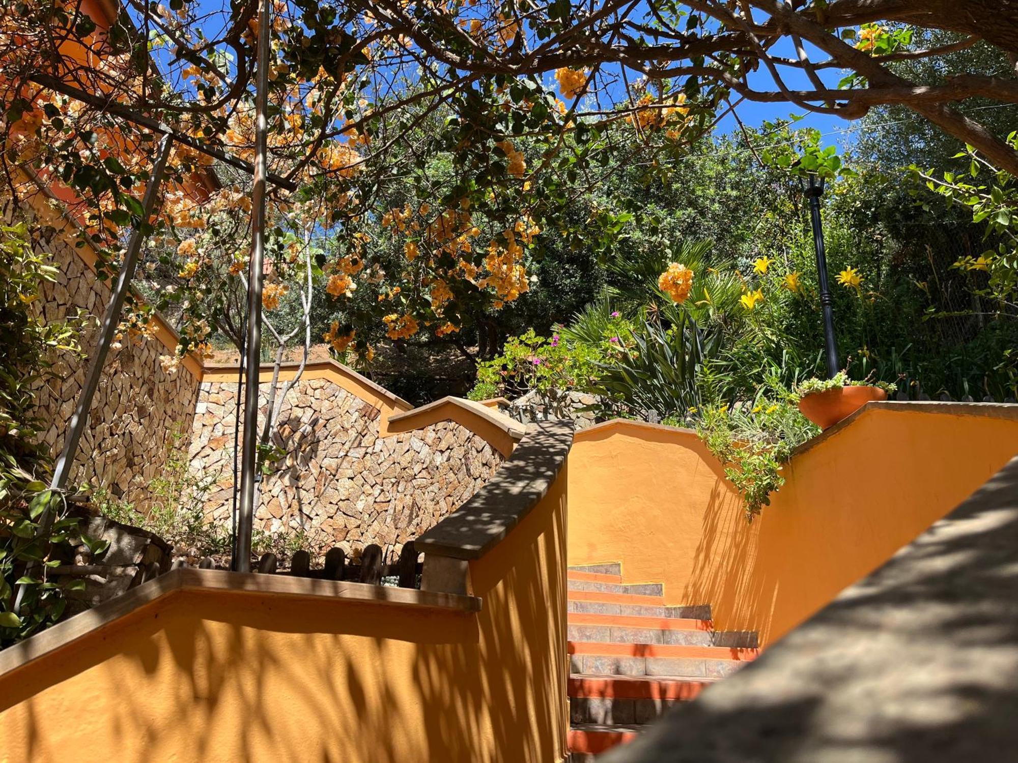 Villa Con Giardino Vista Mare Capitana Eksteriør bilde